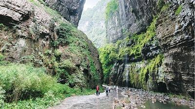 荒废十年重获新生 霞飞湖沉陷区复垦迎来首个插秧季