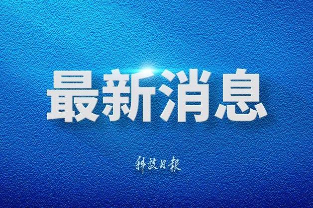 京东服装折券又来了