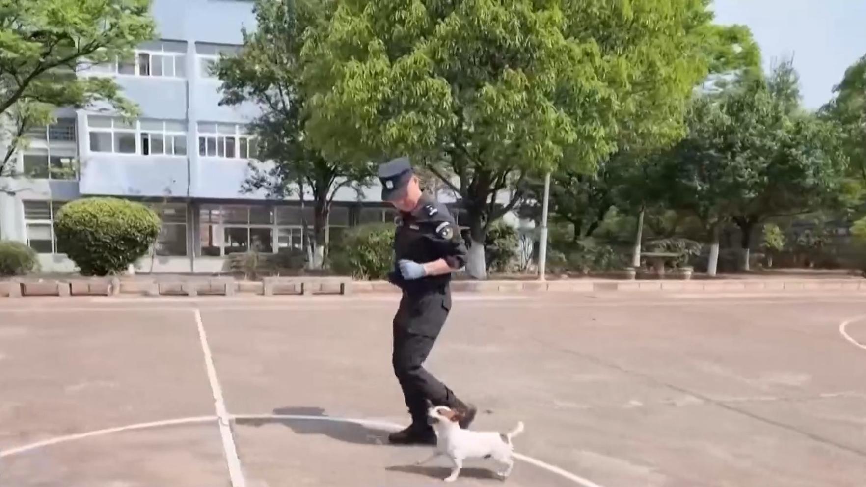 朝鲜射击指示