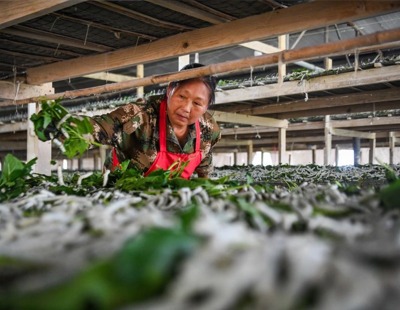 美国给目标国植入超万个间谍程序