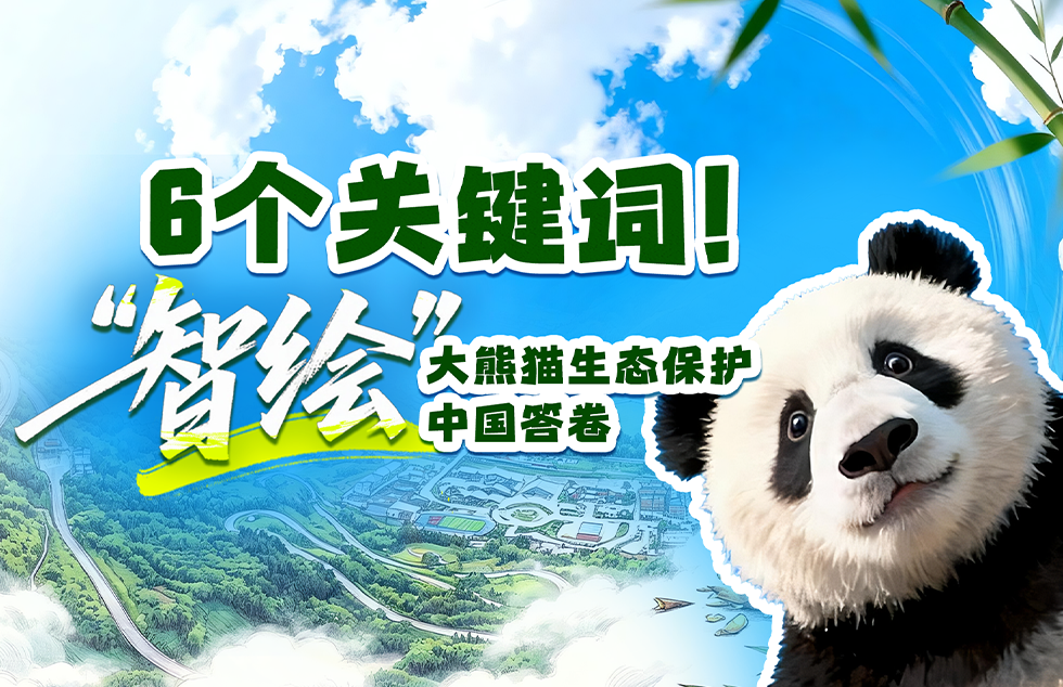 广东行政诉讼出庭应诉率连续超99% “告官见官”成常态