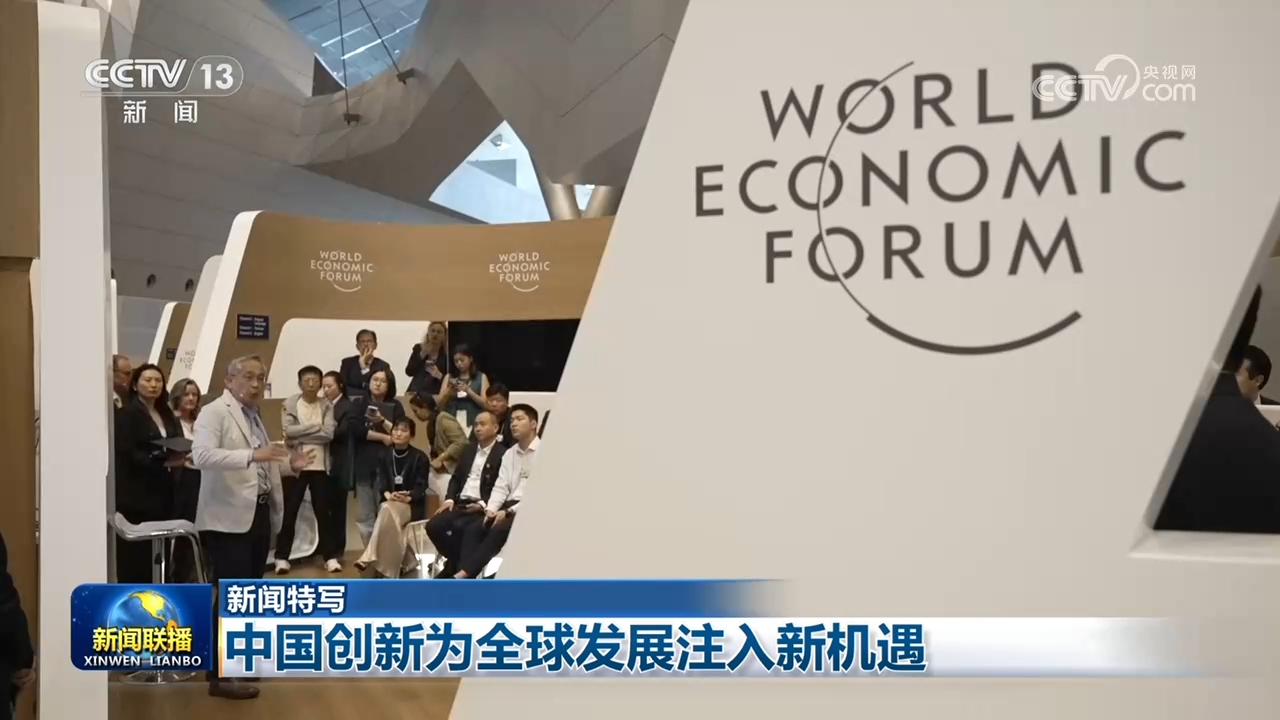 谢娜还是太超前了