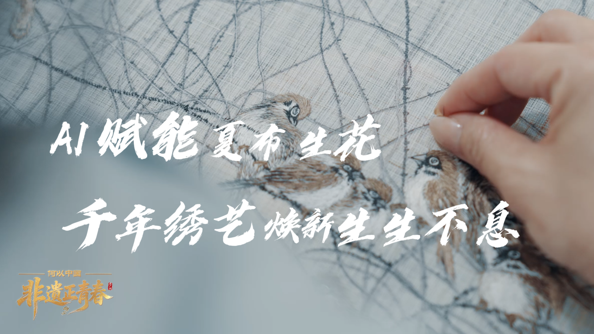 为何张雪的一句“是我们”引发岛内舆论热议？