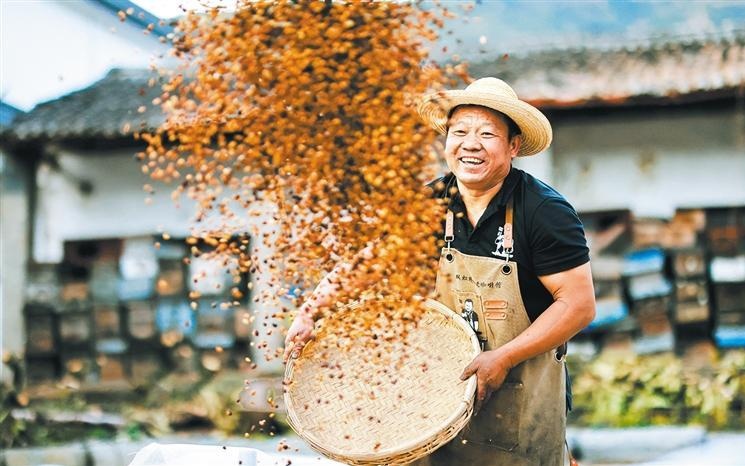 东西部协作的成功案例