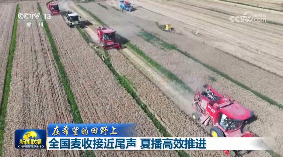 把中国发展进步的命运牢牢掌握在自己手中