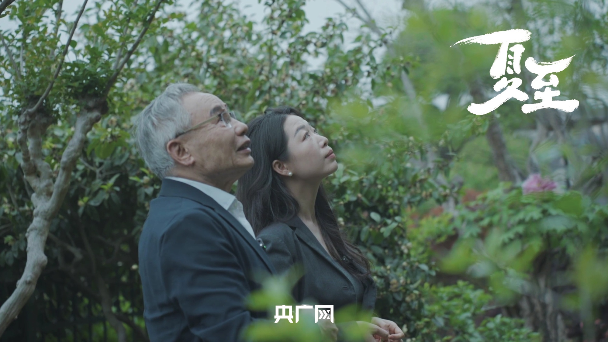 对战
