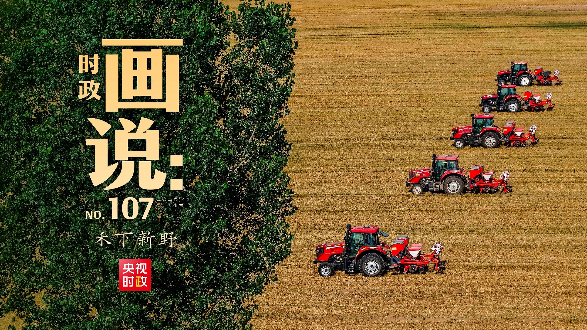 高清在线播放