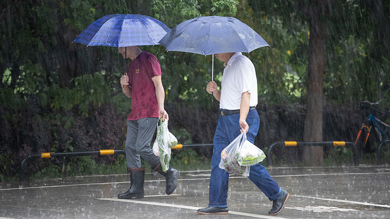 听泉鉴宝被指塌房四大疑问待解
