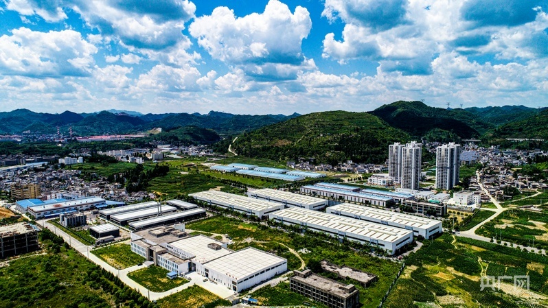 记者手记|根脉在大地上,力量在人民中