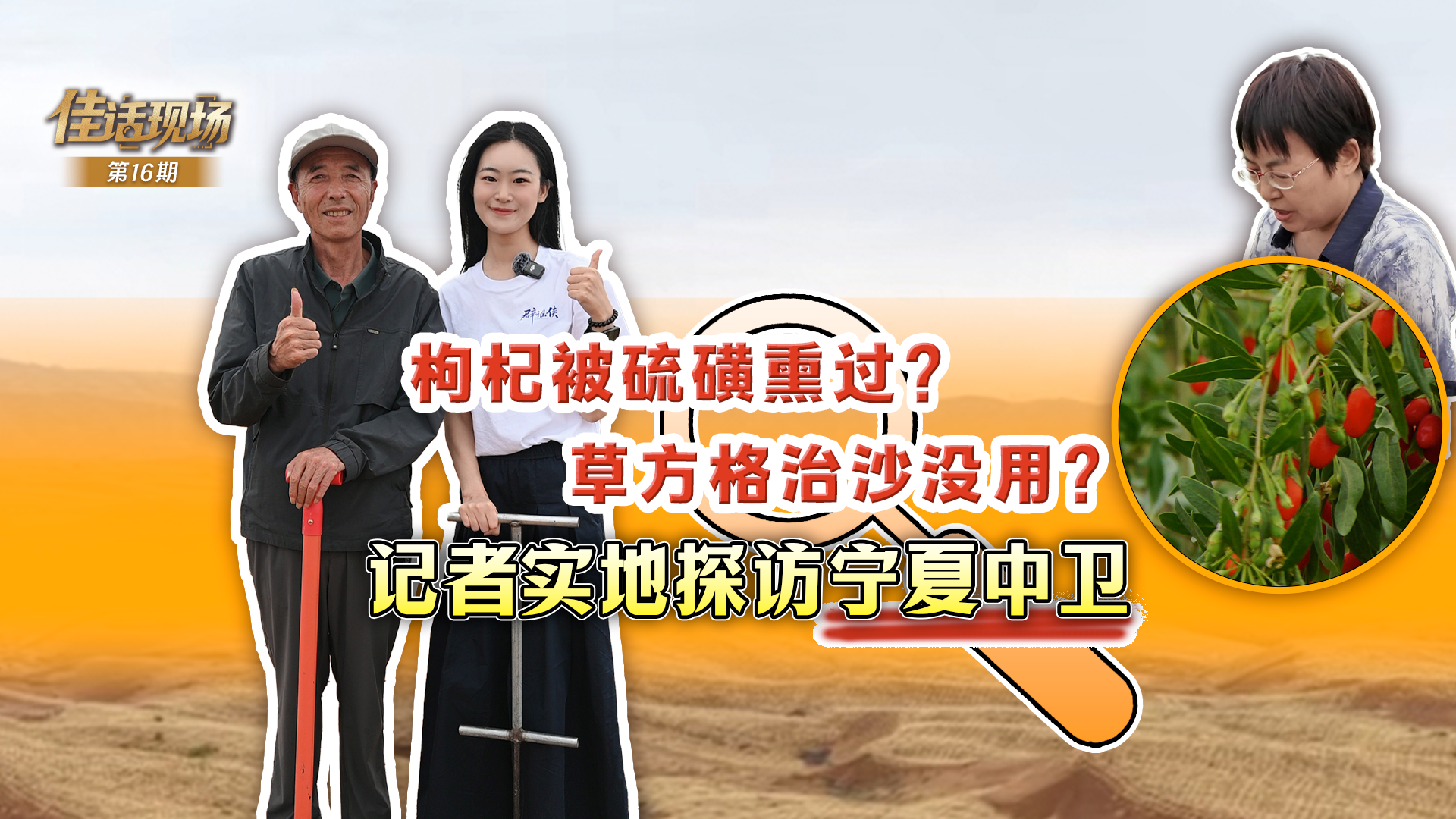 中国的现代化之路既发展自身又造福世界