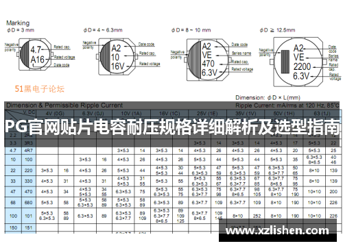 PG官网贴片电容耐压规格详细解析及选型指南