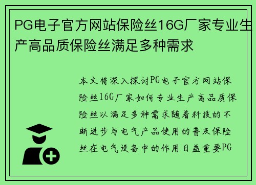 PG电子官方网站保险丝16G厂家专业生产高品质保险丝满足多种需求